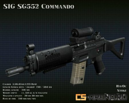 Hav0c And Twinke Sg552