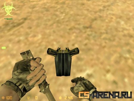 Castor Troy's golden colts