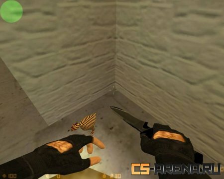 Knife MW2 CZ modification