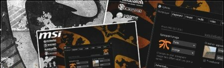 Fnatic GUI 2011