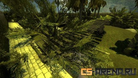 aim_rainforest_b3