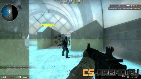 aim_ak-colt_pool